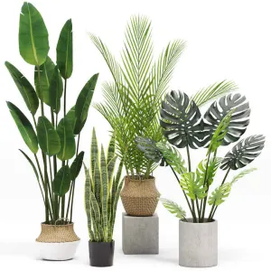 نبات اصطناعي نابض بالحياة شجرة اصطناعية - Lifelike Artificial Plant Polyethylene
