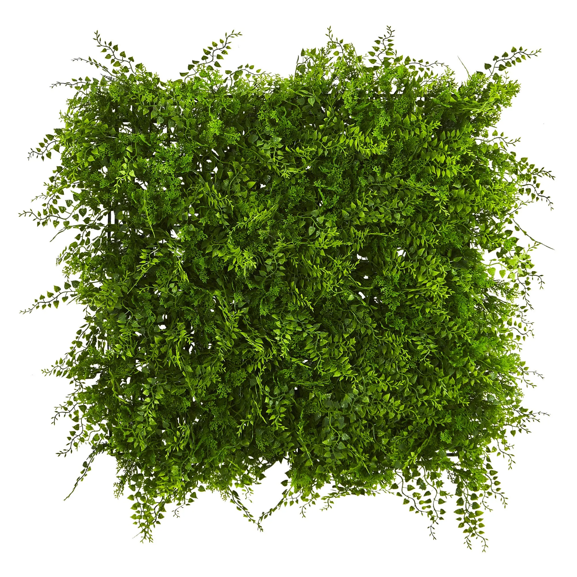 20" x 20" Artificial Fern Privacy Panel, UV Resistant (Indoor/Outdoor) - Low Maintenance, Life-Like & Vibrant Silk Plants For Busy People.