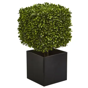 27" Artificial Boxwood Plant in Black Planter (indoor/Outdoor) - Low Maintenance, Life-Like & Vibrant Silk Plants For Busy People.