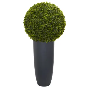 30" Artificial Boxwood Topiary Plant in Gray Cylinder Planter (Indoor/Outdoor) - Low Maintenance, Life-Like & Vibrant Silk Plants For Busy People.
