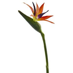 35" Artificial Bird of Paradise Flower (Set of 4) - Low Maintenance, Life-Like & Vibrant Silk Flowers For Busy People.