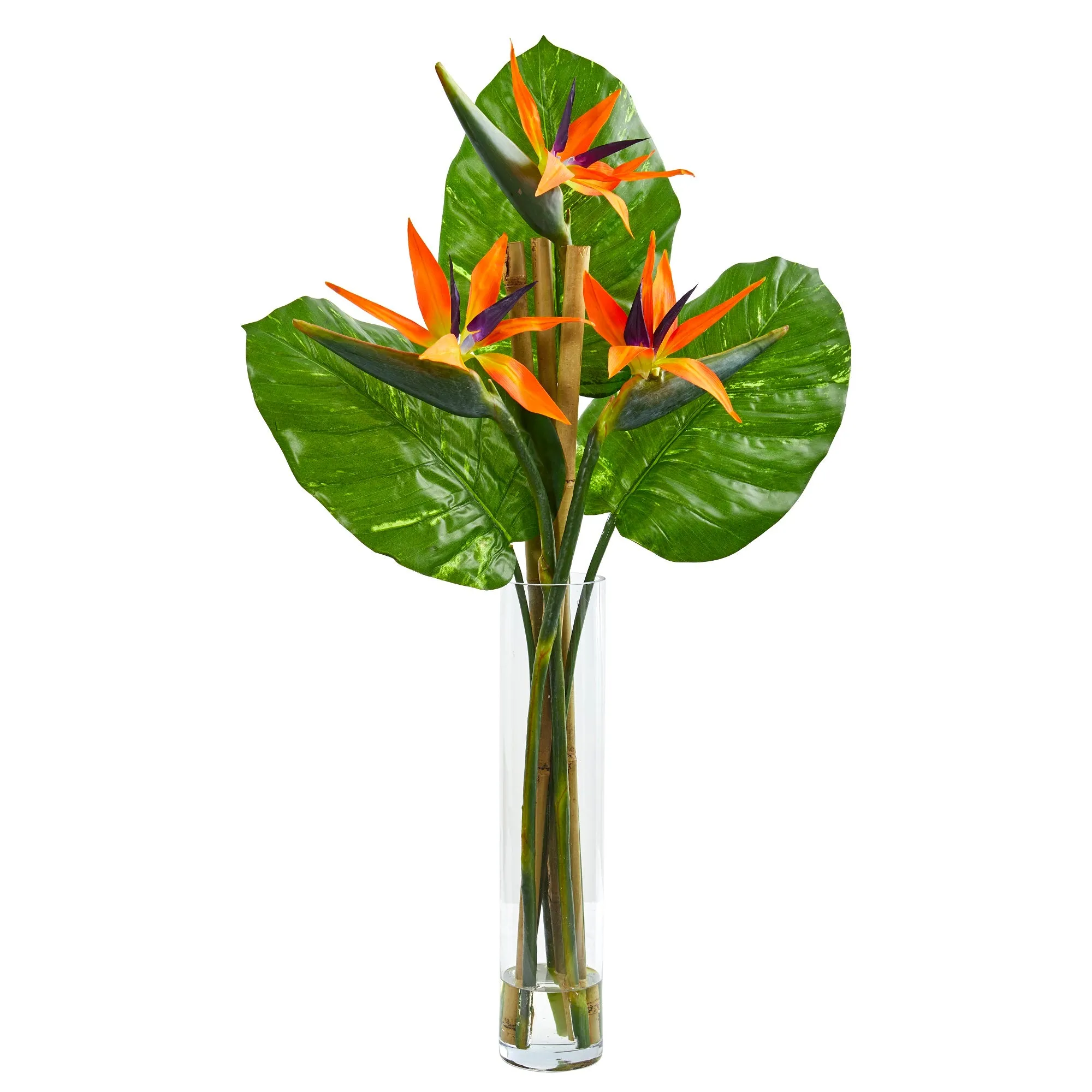 38" Artificial Bird of Paradise Arrangement in Cylinder Vase - Low Maintenance, Life-Like & Vibrant Silk Flowers For Busy People.