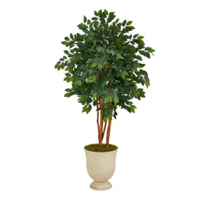 55” Sakaki Artificial Tree in Decorative Urn