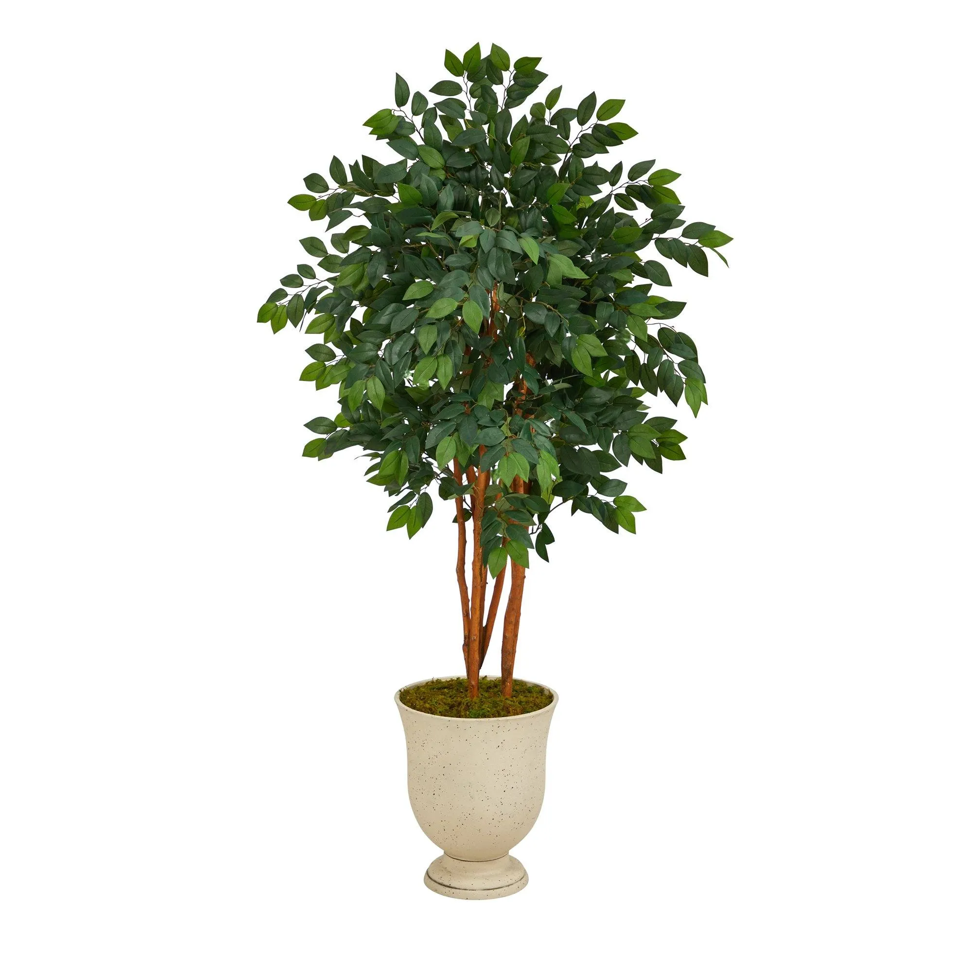 55” Sakaki Artificial Tree in Decorative Urn