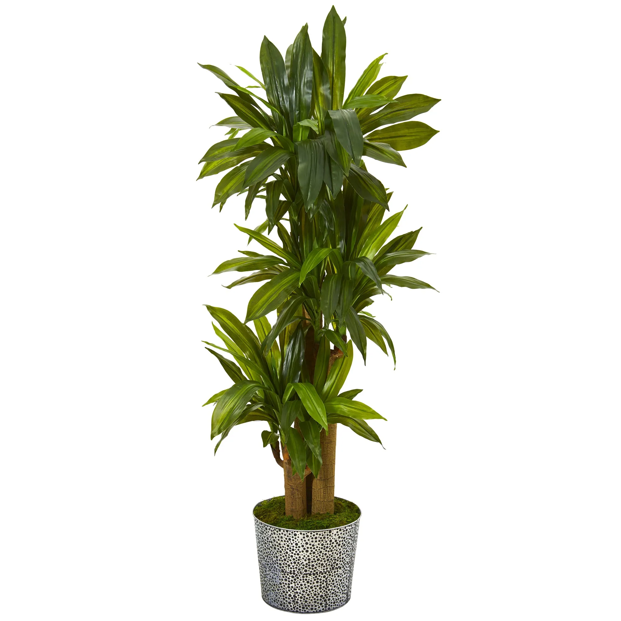58" Artificial Corn Stalk Dracaena Plant in Embossed Tin Planter (Real Touch) - Low Maintenance, Life-Like & Vibrant Silk Plants For Busy People.