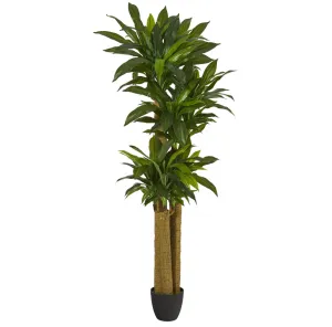 6' Artificial Corn Stalk Dracaena Plant (Real Touch) - Low Maintenance, Life-Like & Vibrant Silk Plants For Busy People.
