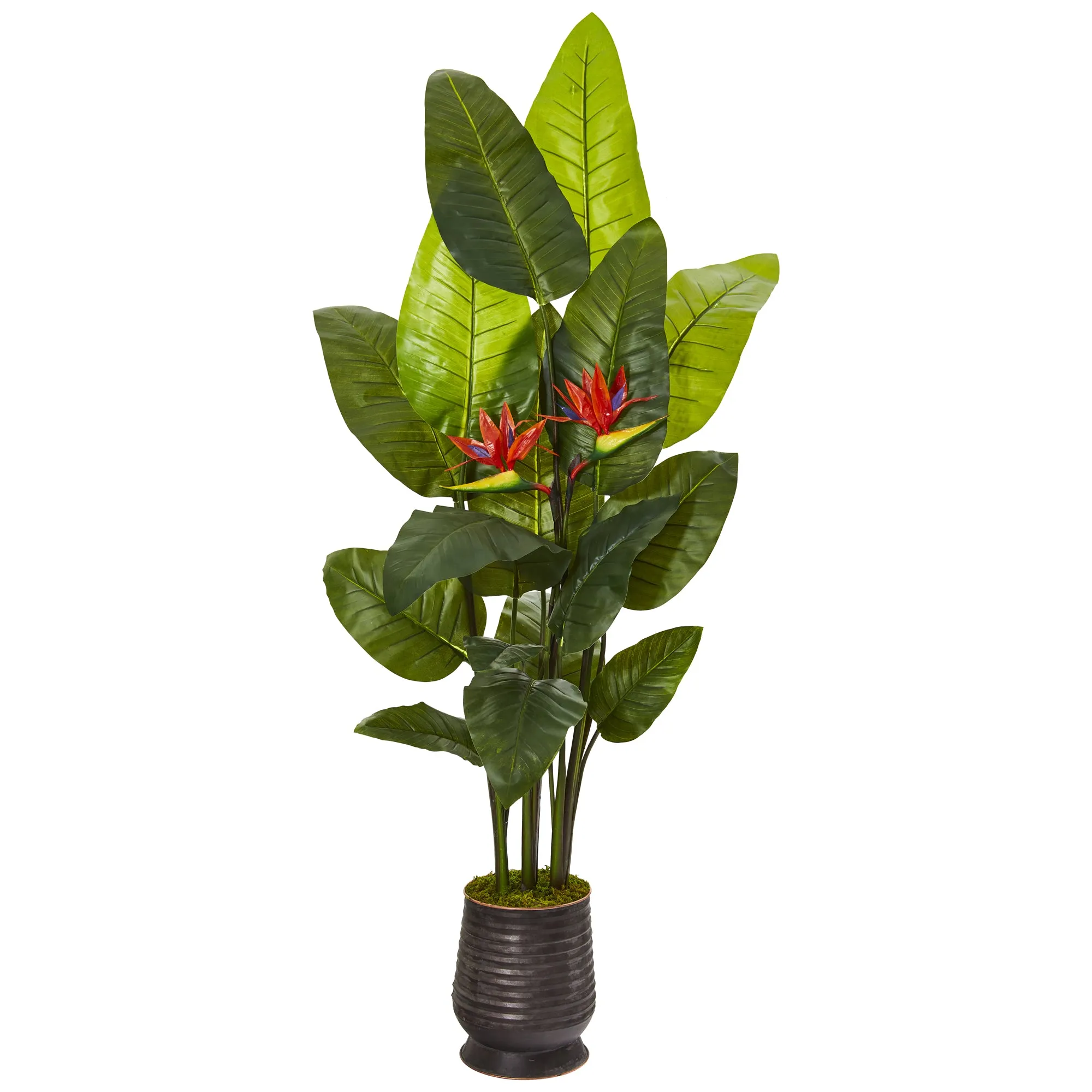 76" Bird of Paradise Artificial Plant in Ribbed Metal Planter (Real Touch) - Low Maintenance, Life-Like & Vibrant Silk Plants For Busy People.