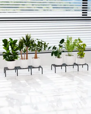 Armada Metal Plant Stands | 24 x 9 x 4 inches | "Pot Not Include"