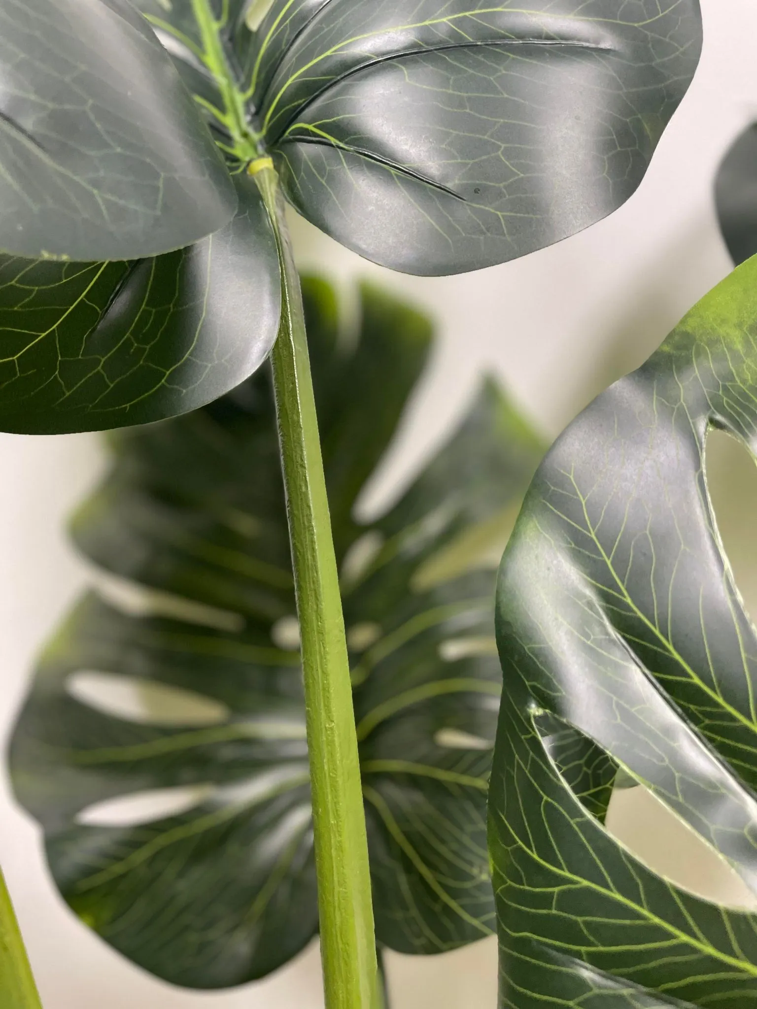 Artificial Monstera Plant ( Shine) (4')