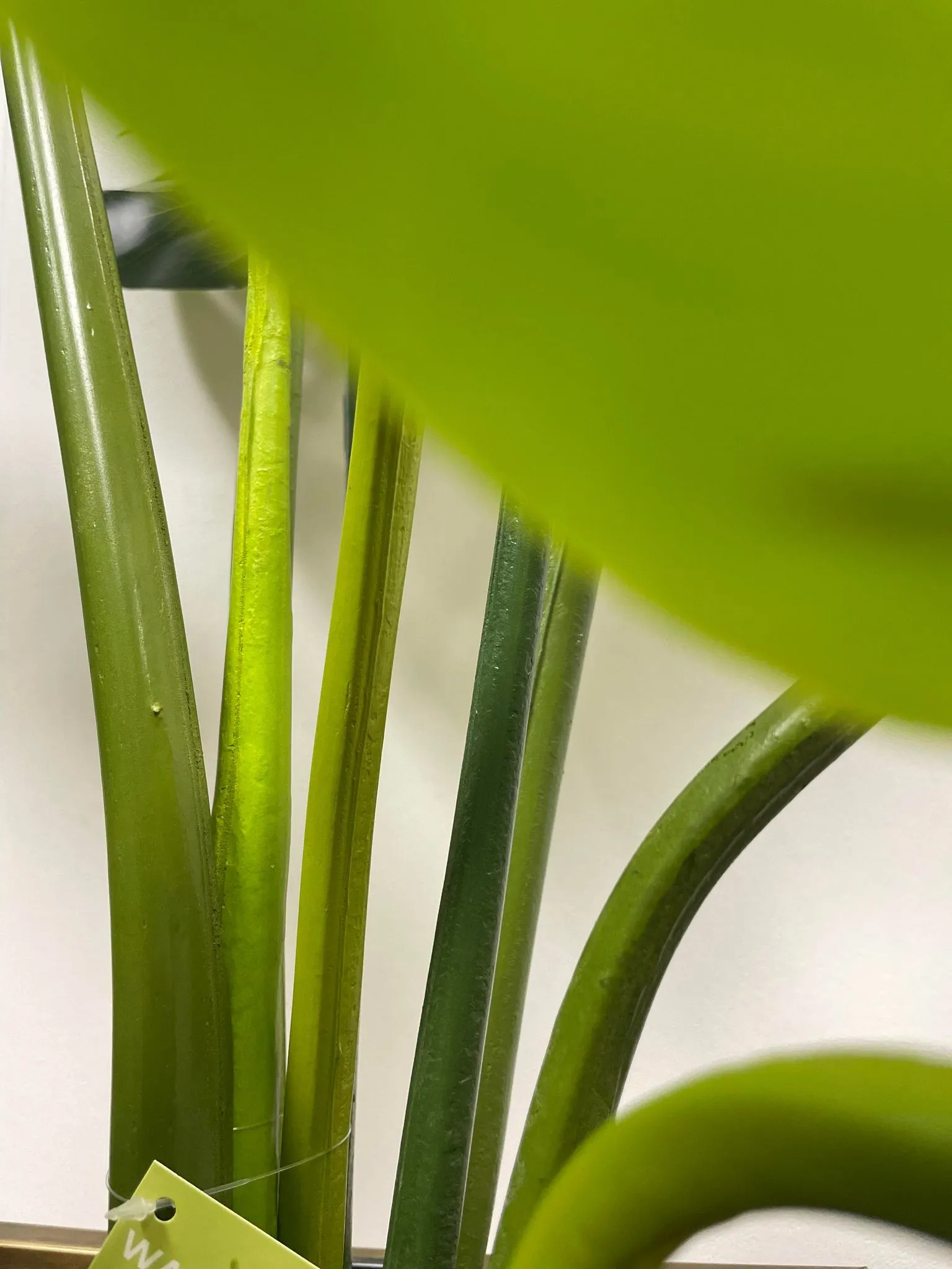 Artificial Monstera Plant ( Shine) (4')