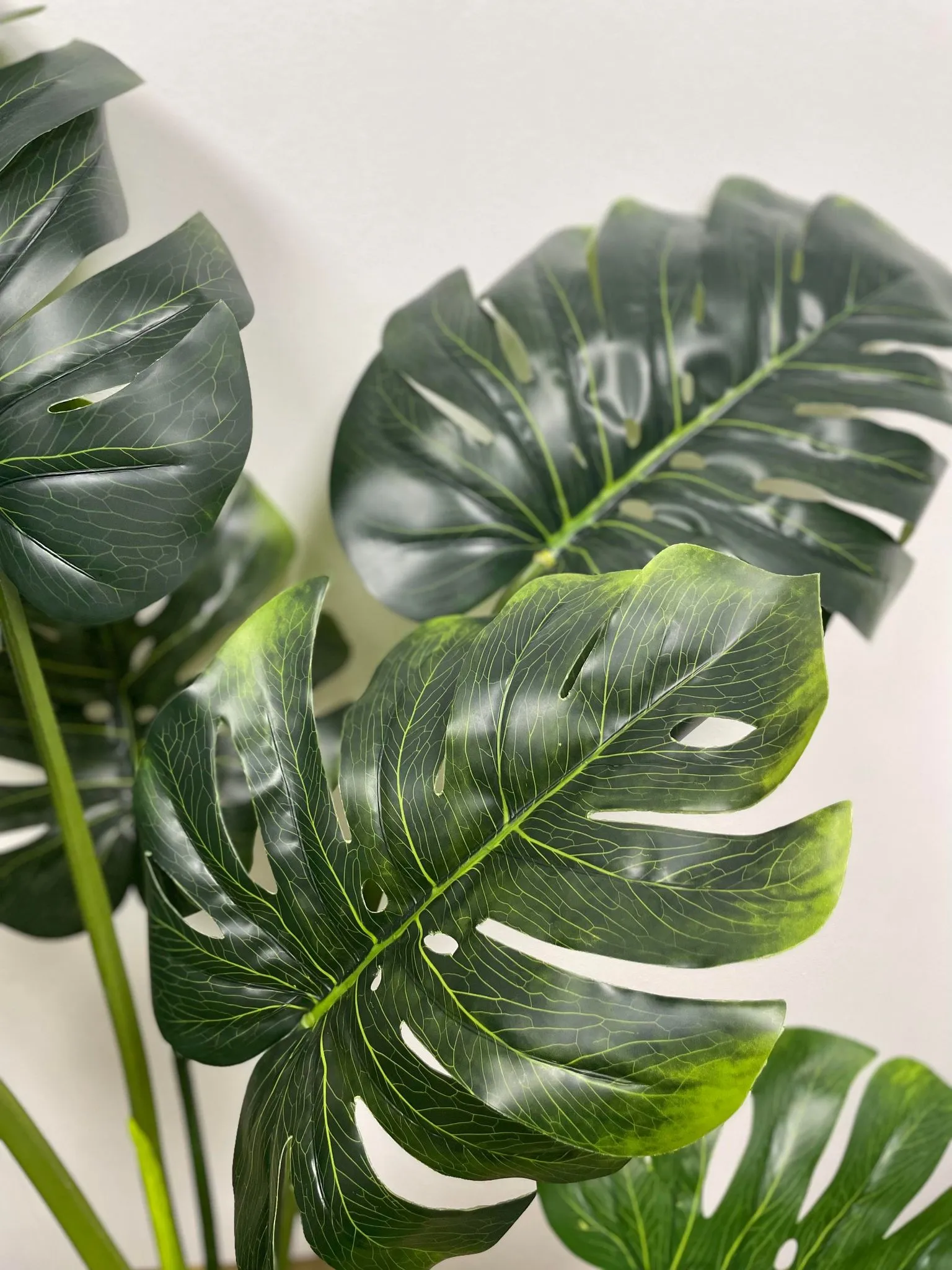 Artificial Monstera Plant ( Shine) (4')