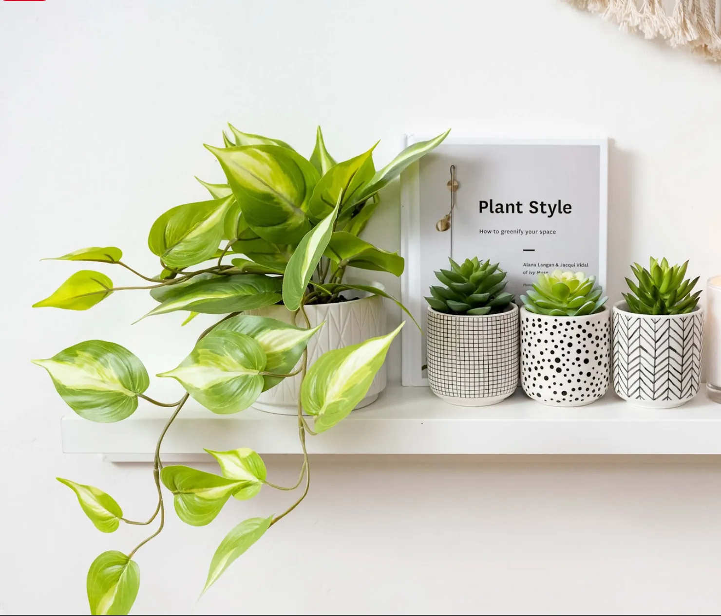 Artificial trailing ivy plant | Faux pothos plant | Trailing Ivy pothos Plant with White Ceramic Pot | Light Green Faux Ivy Plant with White Pot|Stunning Fake plant | Fake pothos plant