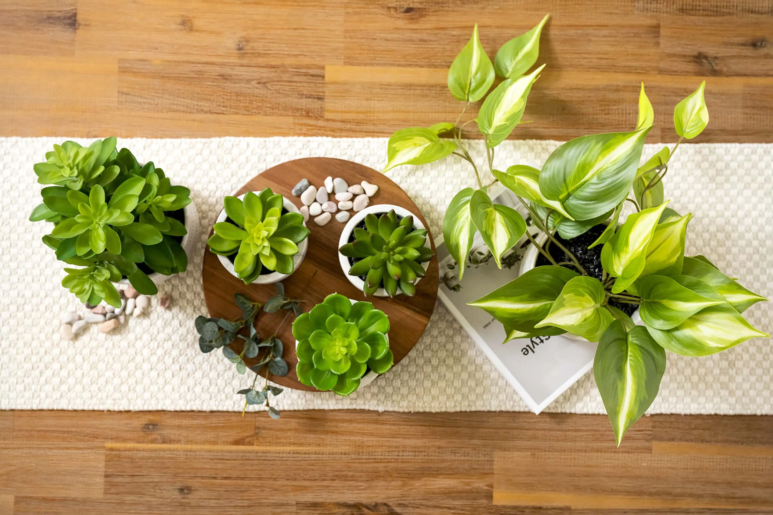 Artificial trailing ivy plant | Faux pothos plant | Trailing Ivy pothos Plant with White Ceramic Pot | Light Green Faux Ivy Plant with White Pot|Stunning Fake plant | Fake pothos plant