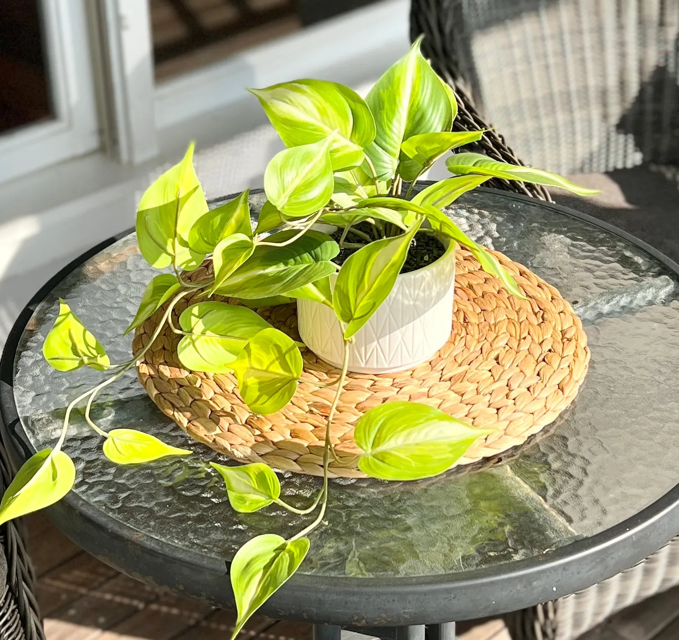 Artificial trailing ivy plant | Faux pothos plant | Trailing Ivy pothos Plant with White Ceramic Pot | Light Green Faux Ivy Plant with White Pot|Stunning Fake plant | Fake pothos plant