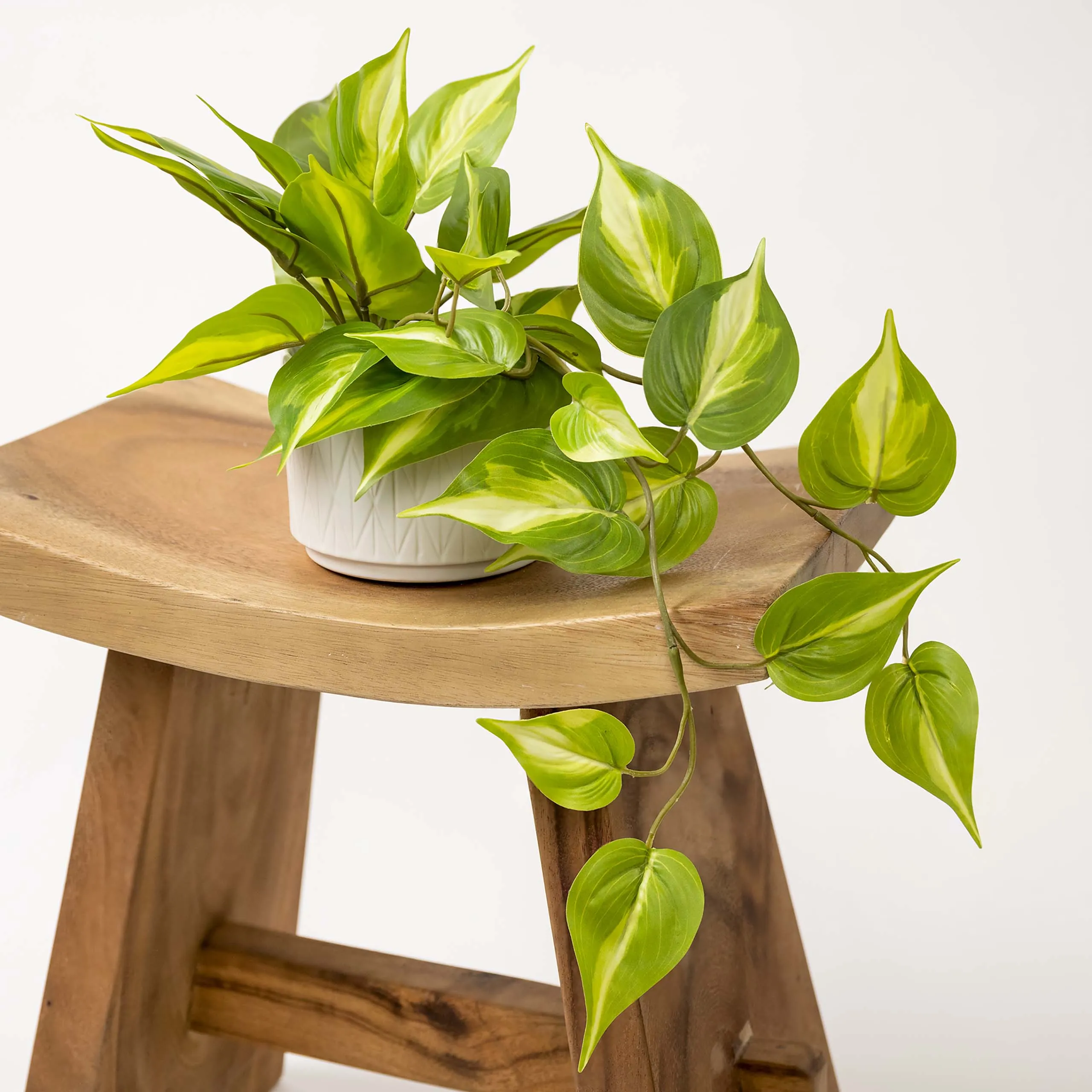 Artificial trailing ivy plant | Faux pothos plant | Trailing Ivy pothos Plant with White Ceramic Pot | Light Green Faux Ivy Plant with White Pot|Stunning Fake plant | Fake pothos plant
