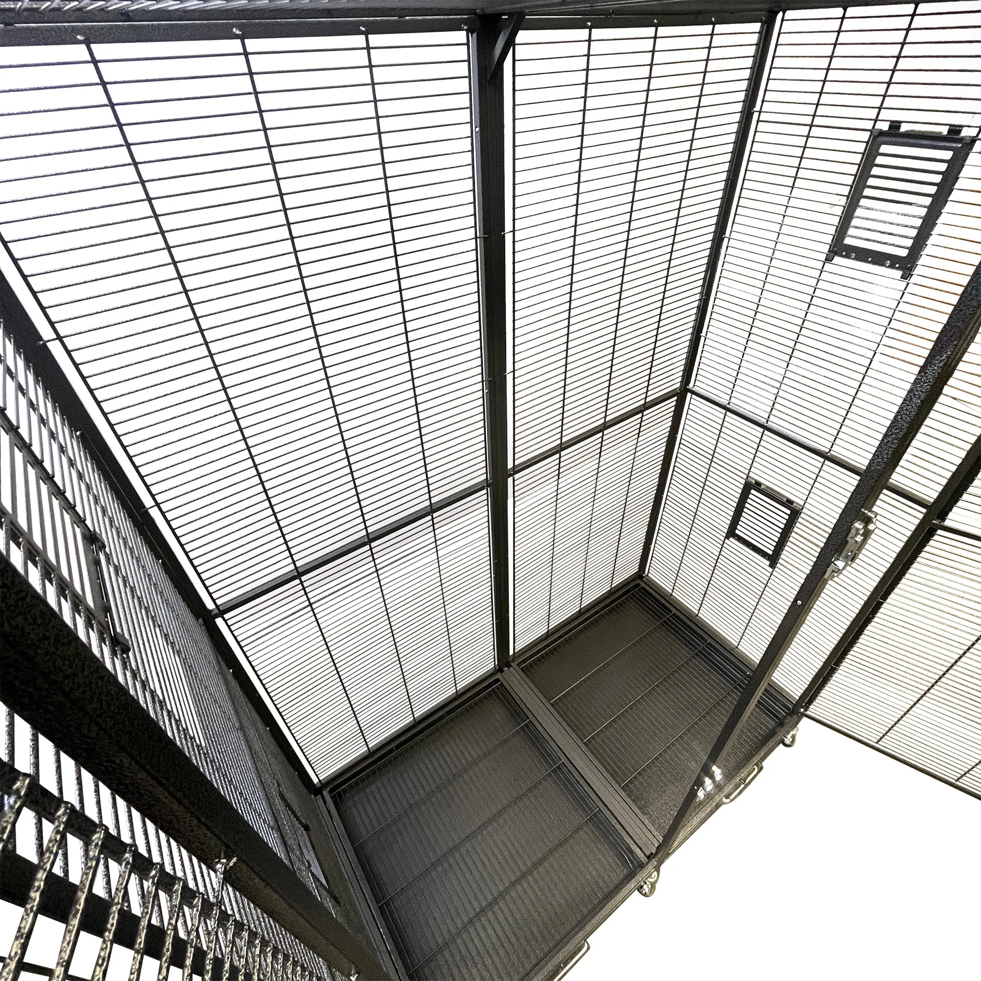 Borneo Cage