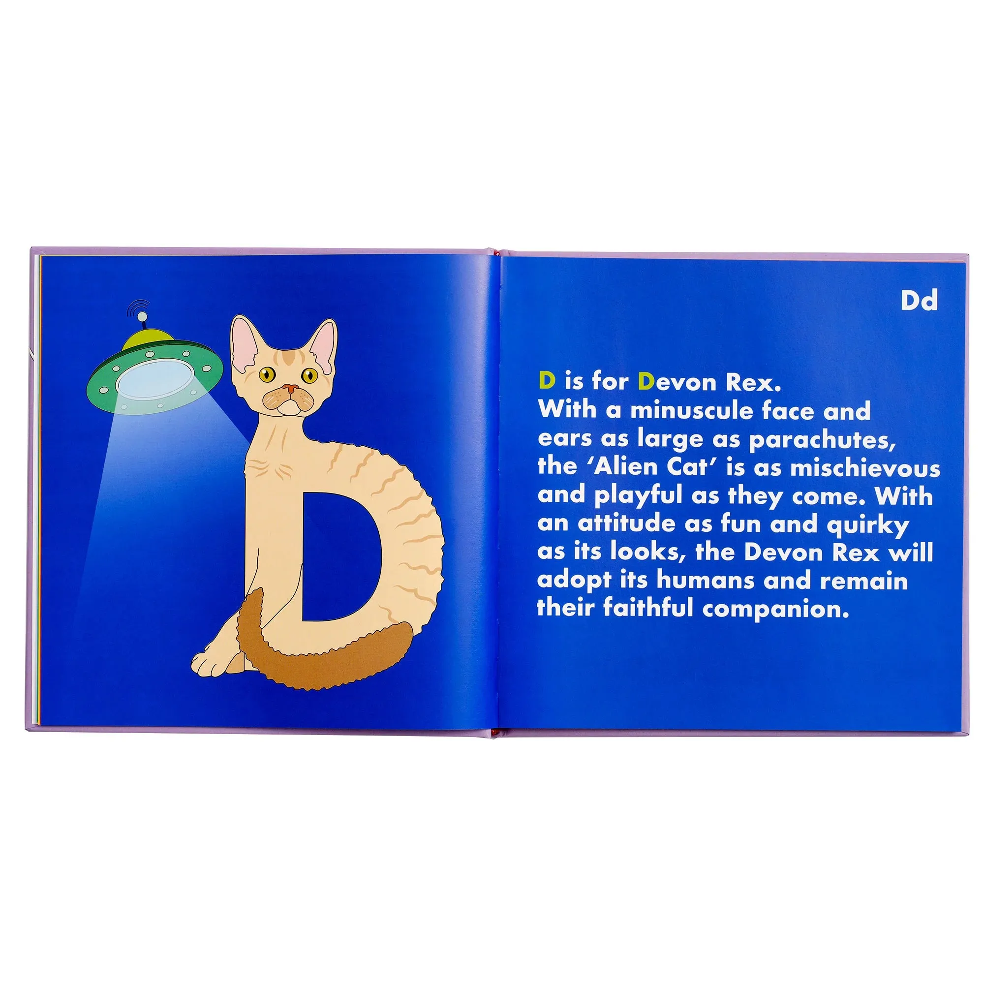 Cat Alphabet Book