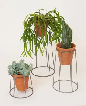 Chrome Plant Stand