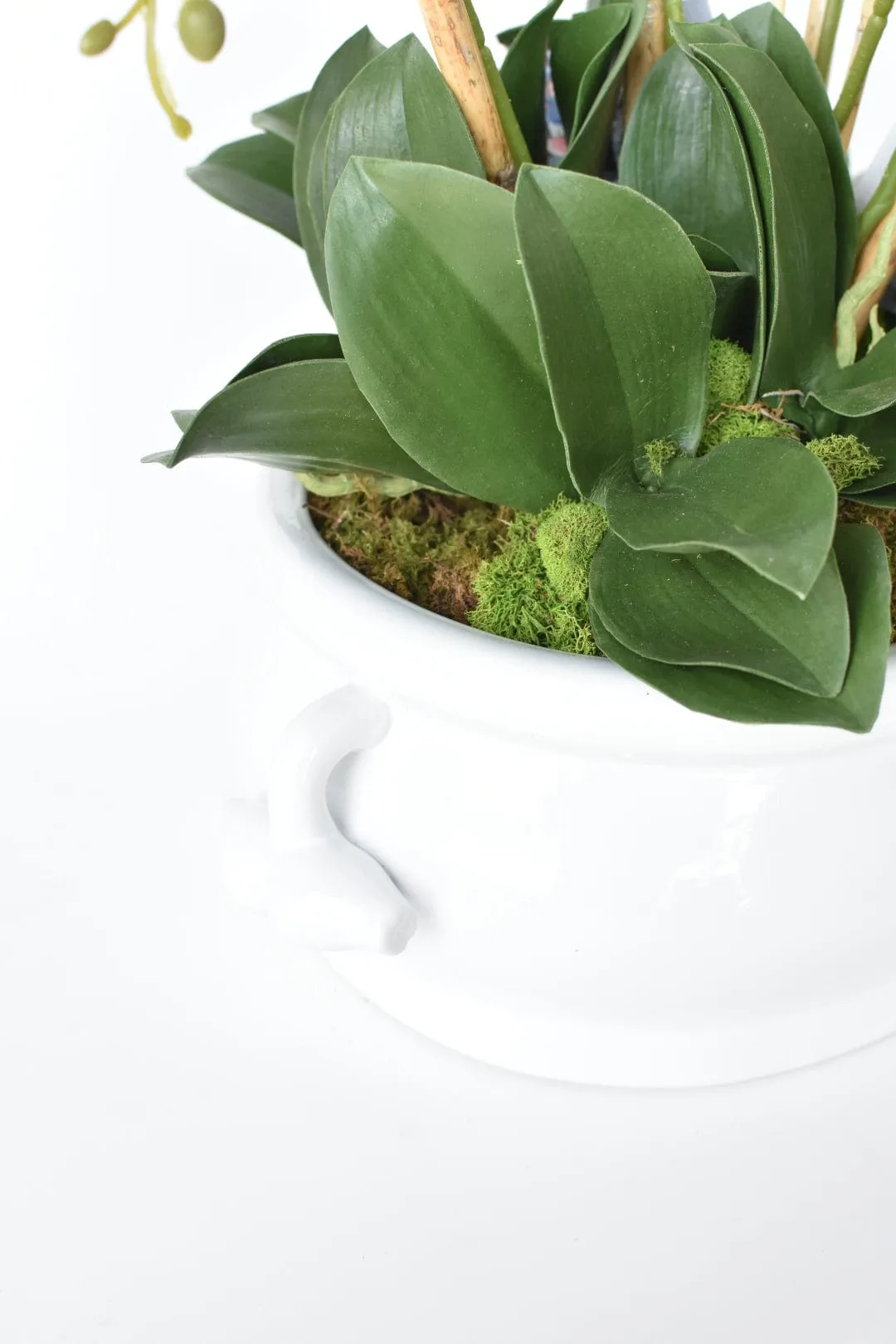 Creamware Oval Cachepot with Pomegranate