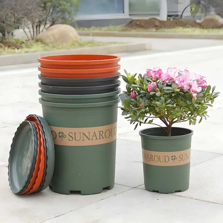 flower plants . نباتات الزهور