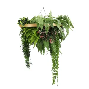 60cm UV Resistant Life-Like Plants Gold Framed Hanging Roof Disc with Draping