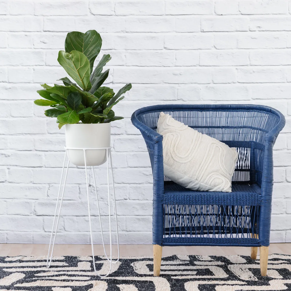Hairpin Plant Stand - Black