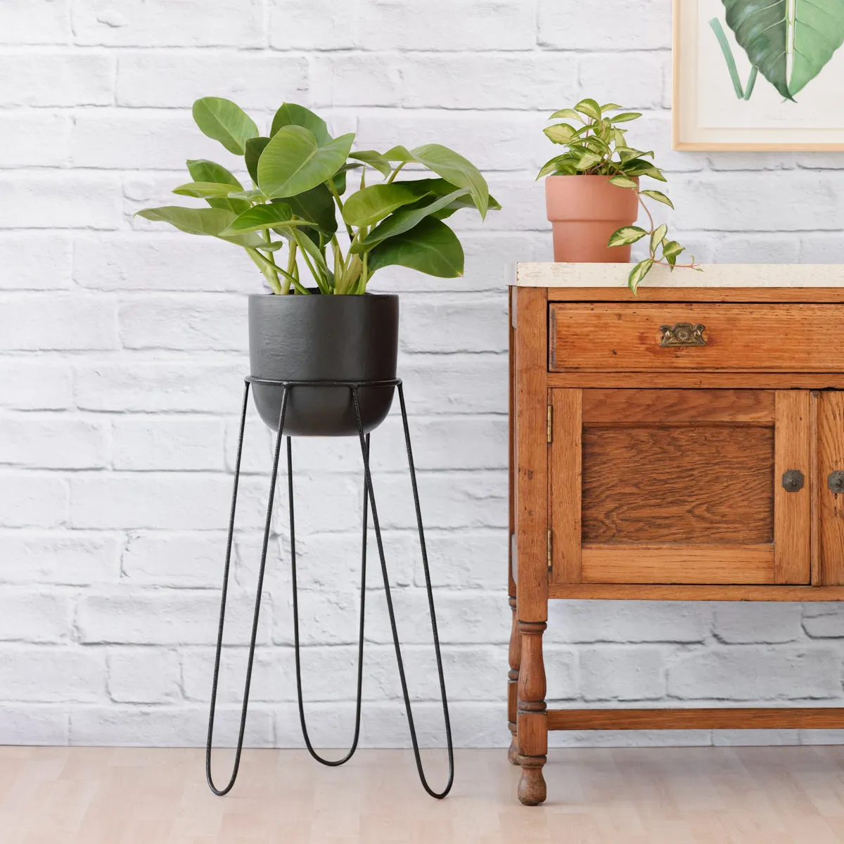 Hairpin Plant Stand - Black