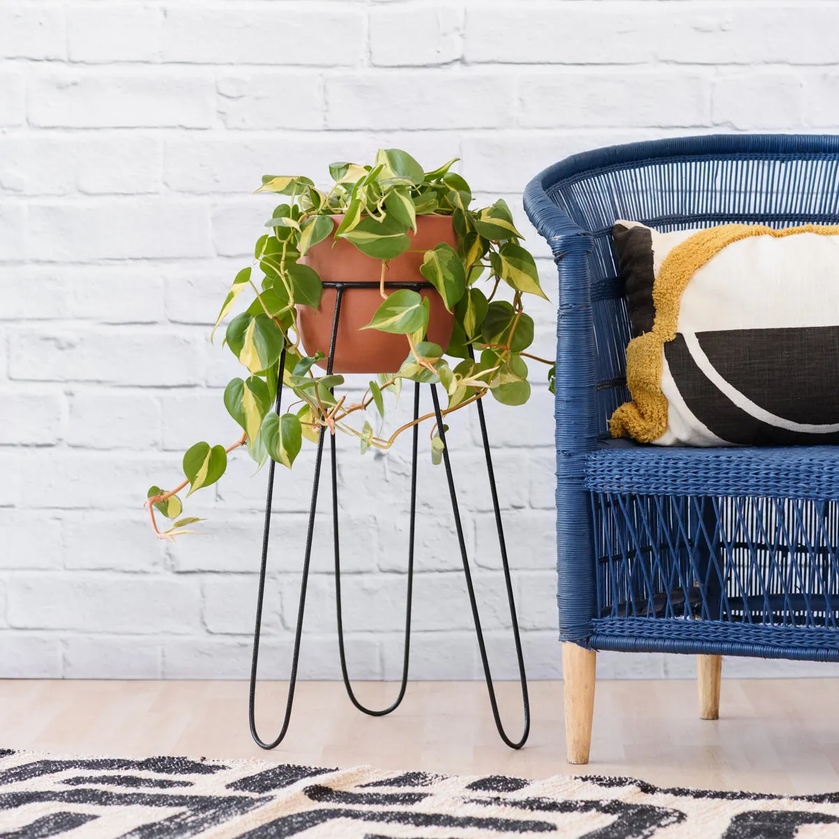 Hairpin Plant Stand - Black