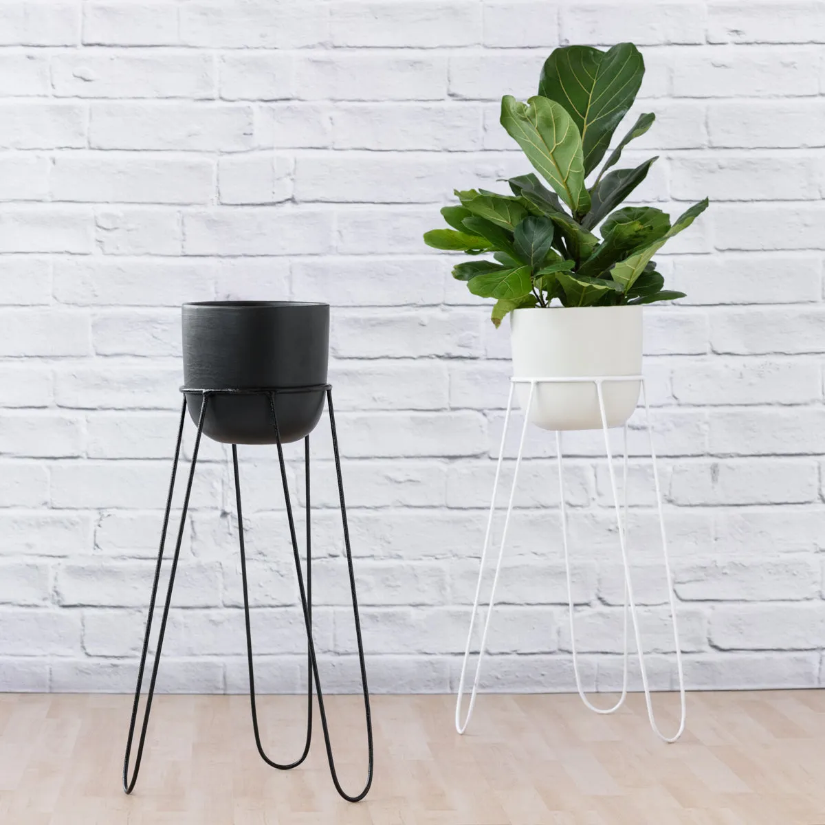 Hairpin Plant Stand - Black