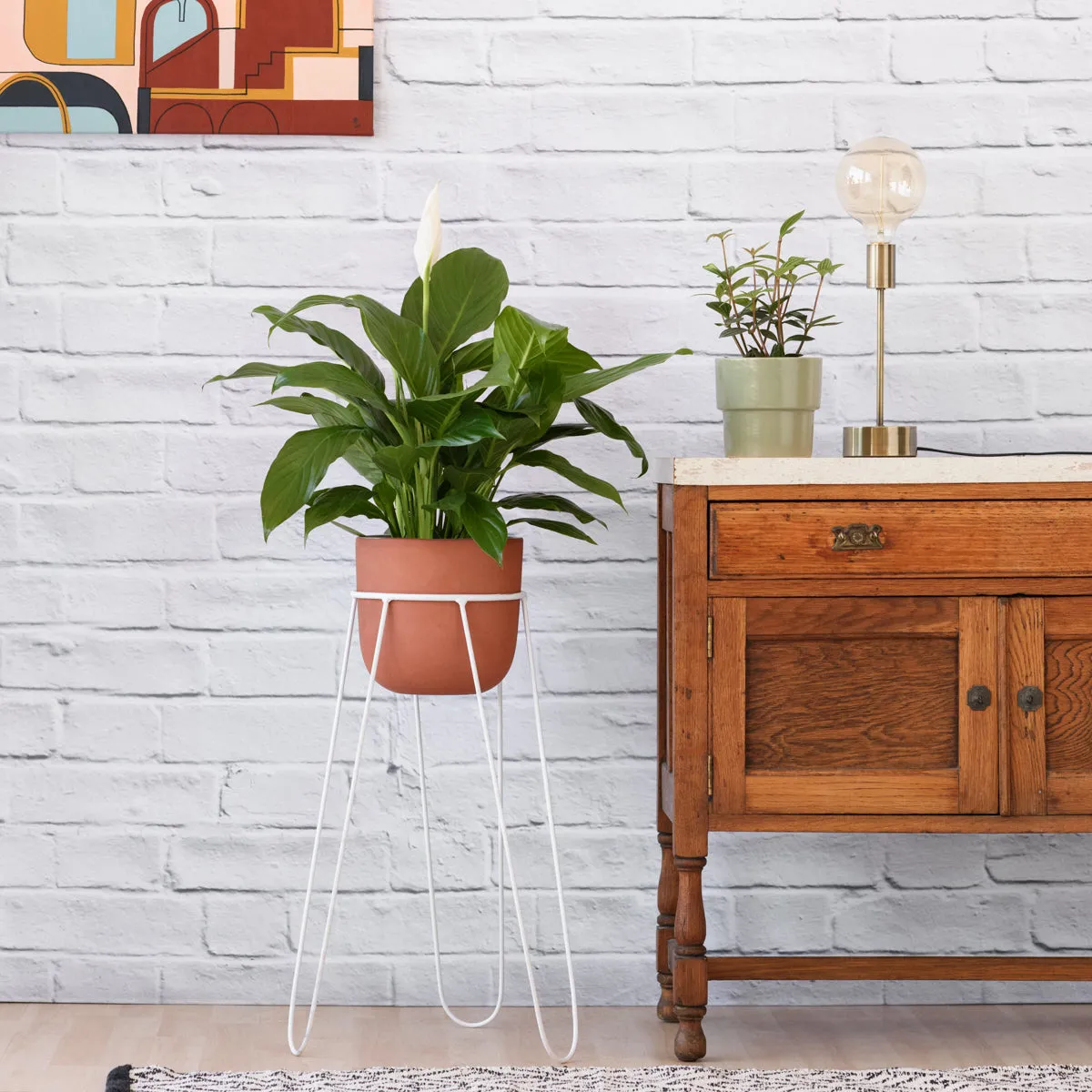 Hairpin Plant Stand - Black