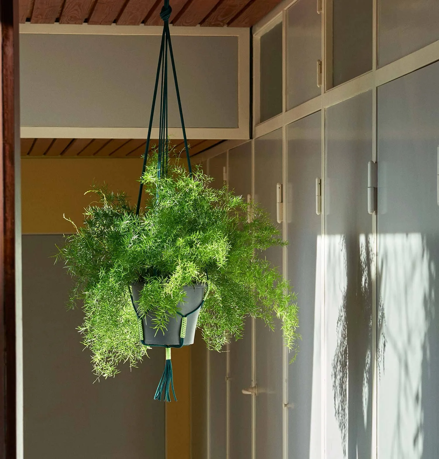 HAY Phanta Plant Hanger – Green