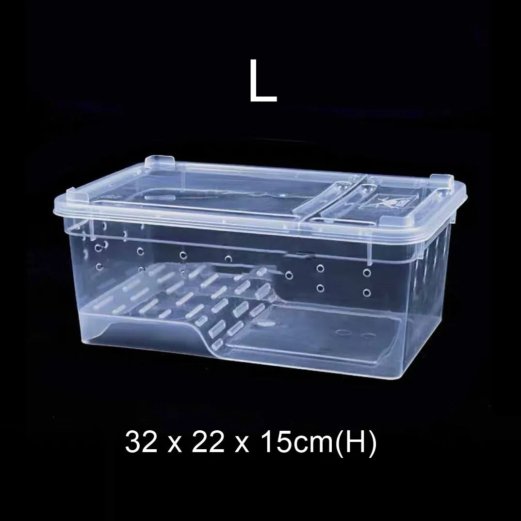Hinged Lid Horned Frog Stackable Box