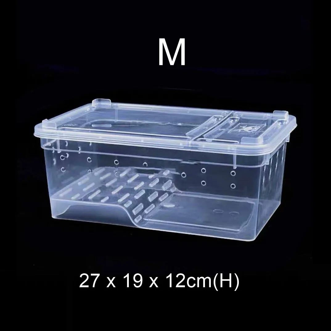 Hinged Lid Horned Frog Stackable Box