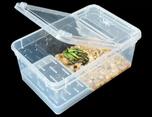 Hinged Lid Horned Frog Stackable Box