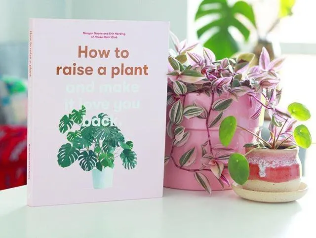 How to Raise a Plant: and Make It Love You Back