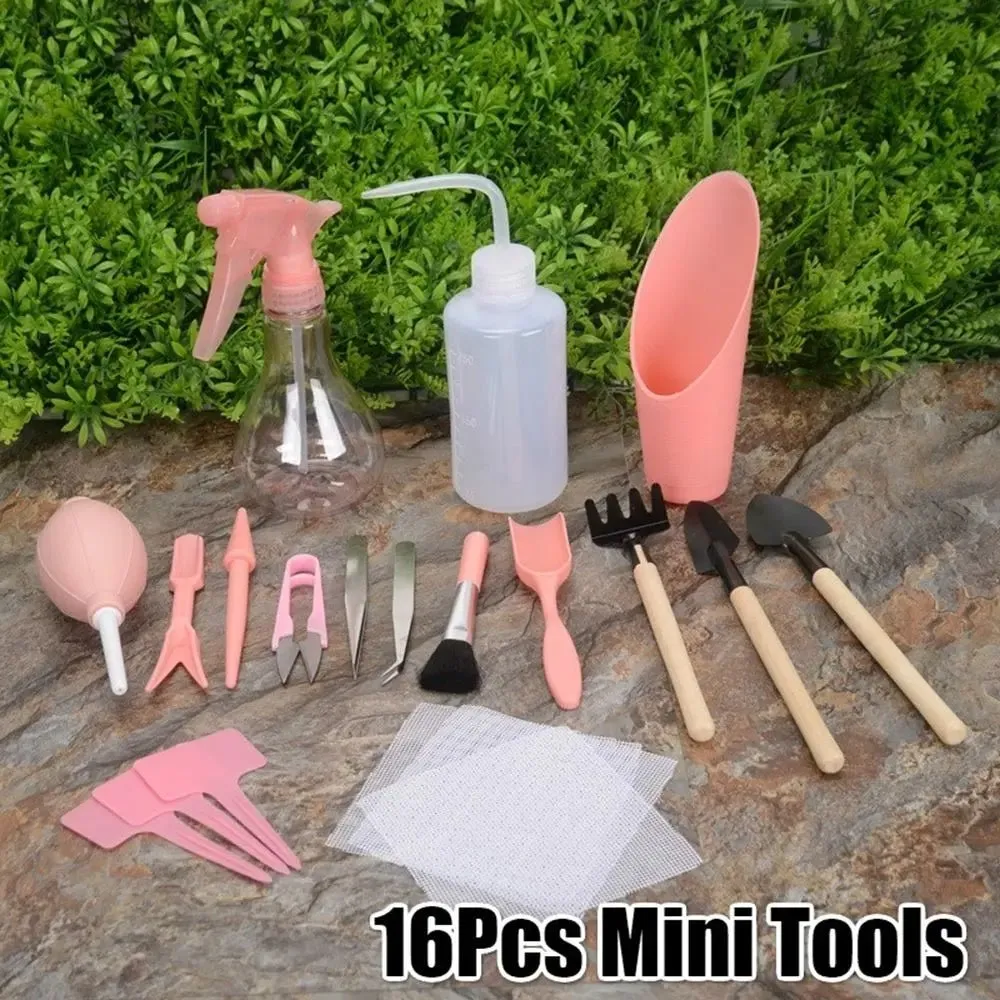 Terrarium Tool Kit