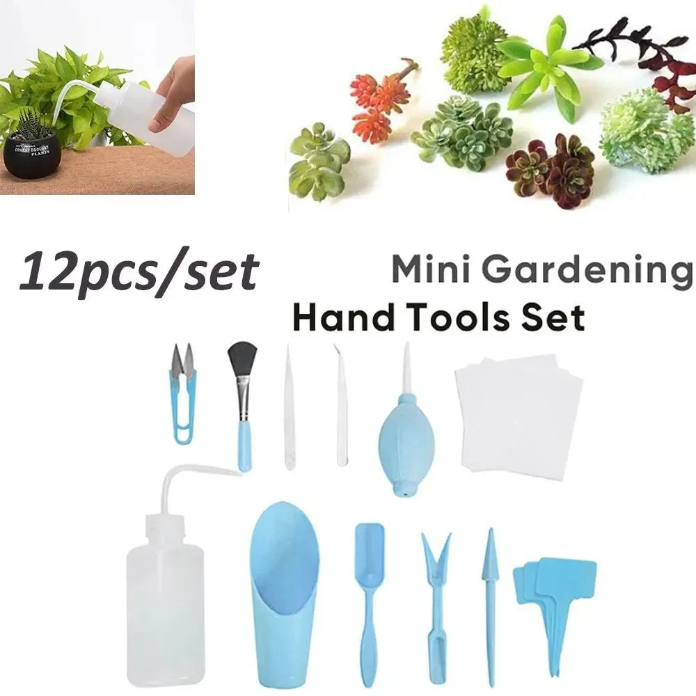 Terrarium Tool Kit