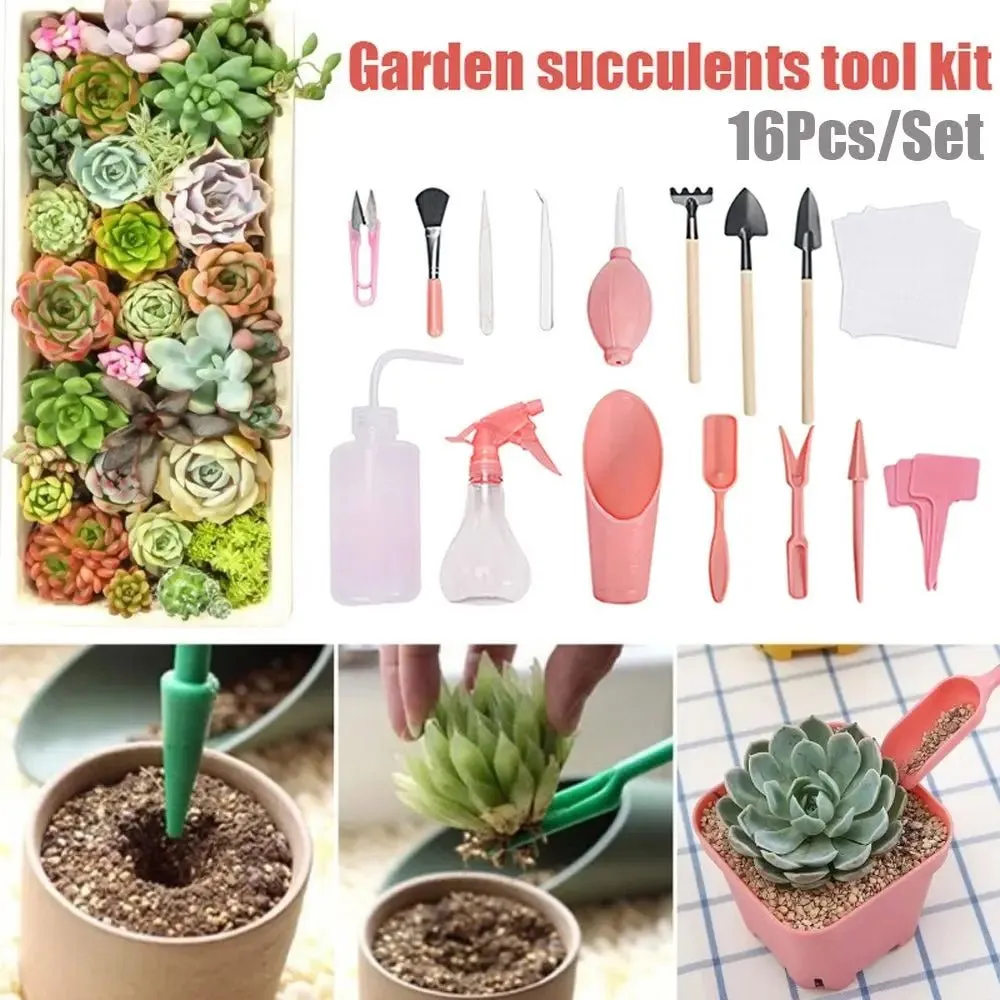 Terrarium Tool Kit