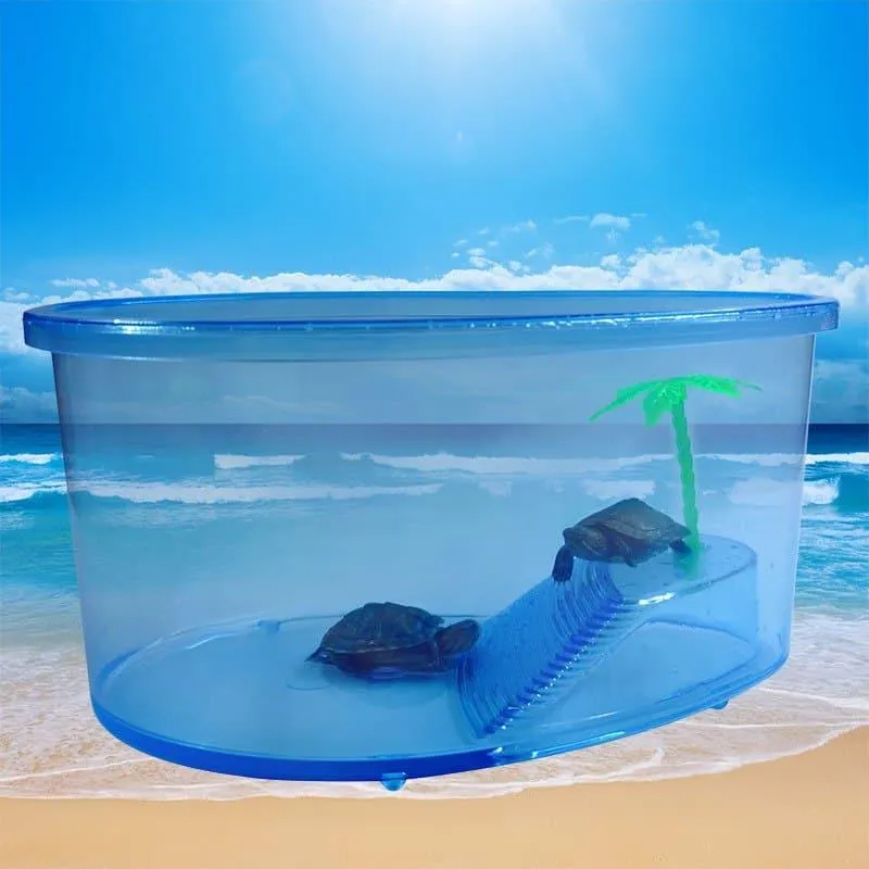 Transparent Plastic Terrariums For Turtles